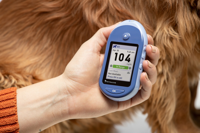 Blood Glucose Dogs Cats
